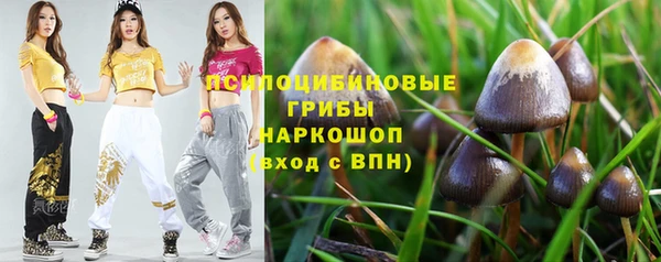 ALPHA-PVP Армянск