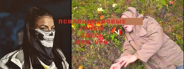 каннабис Аркадак