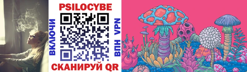 Галлюциногенные грибы Cubensis  blacksprut как зайти  Новая Ладога 
